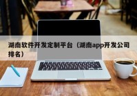 湖南软件开发定制平台（湖南app开发公司排名）