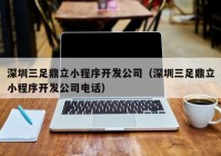 深圳三足鼎立小程序开发公司（深圳三足鼎立小程序开发公司电话）