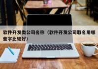 软件开发类公司名称（软件开发公司取名用哪些字比较好）