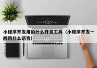 小程序开发用的什么开发工具（小程序开发一般用什么语言）