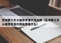 抚州第三方小程序开发代理品牌（抚州第三方小程序开发代理品牌是什么）