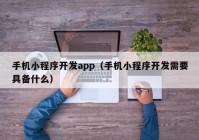 手机小程序开发app（手机小程序开发需要具备什么）