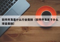 软件开发是什么行业类别（软件开发属于什么项目类别）