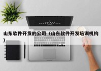 山东软件开发的公司（山东软件开发培训机构）