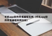 手机app软件开发编程实例（手机app软件开发编程实例分析）