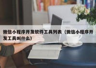 微信小程序开发软件工具列表（微信小程序开发工具叫什么）