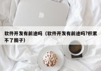 软件开发有前途吗（软件开发有前途吗?积累不了圈子）