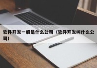 软件开发一般是什么公司（软件开发叫什么公司）