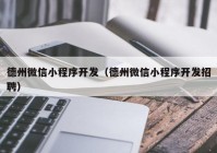 德州微信小程序开发（德州微信小程序开发招聘）