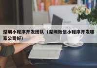 深圳小程序开发团队（深圳微信小程序开发哪家公司好）