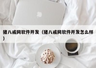 猪八戒网软件开发（猪八戒网软件开发怎么样）