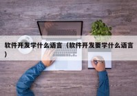 软件开发学什么语言（软件开发要学什么语言）