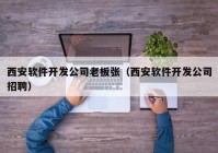 西安软件开发公司老板张（西安软件开发公司招聘）