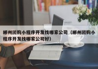 郴州团购小程序开发找哪家公司（郴州团购小程序开发找哪家公司好）