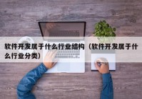 软件开发属于什么行业结构（软件开发属于什么行业分类）