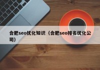 合肥seo优化知识（合肥seo排名优化公司）