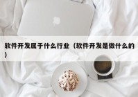 软件开发属于什么行业（软件开发是做什么的）