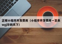 正规小程序开发费用（小程序开发费用一览表wgj华网天下）