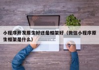 小程序开发原生好还是框架好（微信小程序原生框架是什么）