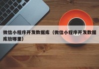 微信小程序开发数据库（微信小程序开发数据库放哪里）