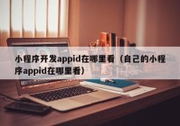 小程序开发appid在哪里看（自己的小程序appid在哪里看）