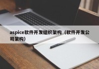 aspice软件开发组织架构（软件开发公司架构）