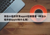 微信小程序开发appid在哪里看（微信小程序的appid有什么用）