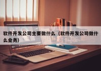 软件开发公司主要做什么（软件开发公司做什么业务）