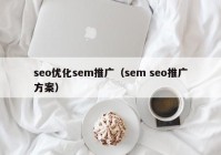 seo优化sem推广（sem seo推广方案）