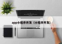 app小程序开发（小程序开发）