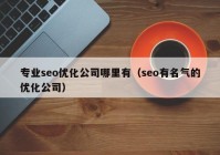 专业seo优化公司哪里有（seo有名气的优化公司）