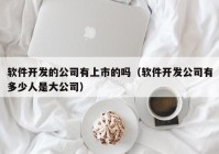 软件开发的公司有上市的吗（软件开发公司有多少人是大公司）