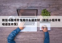 微信小程序开发用什么语言好（微信小程序用啥语言开发）