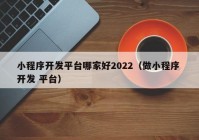 小程序开发平台哪家好2022（做小程序 开发 平台）