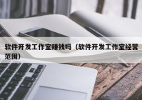 软件开发工作室赚钱吗（软件开发工作室经营范围）