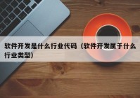 软件开发是什么行业代码（软件开发属于什么行业类型）