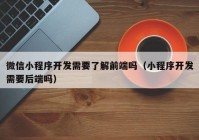 微信小程序开发需要了解前端吗（小程序开发需要后端吗）