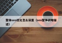 整体seo优化怎么设置（seo整体战略描述）