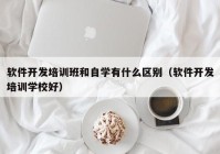 软件开发培训班和自学有什么区别（软件开发培训学校好）