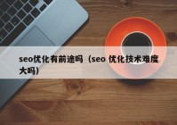 seo优化有前途吗（seo 优化技术难度大吗）