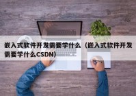 嵌入式软件开发需要学什么（嵌入式软件开发需要学什么CSDN）