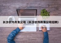 长沙软件开发公司（长沙软件开发公司招聘）