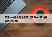 天津seo优化外包公司（天津seo网站排名优化公司）