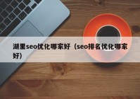 湖里seo优化哪家好（seo排名优化哪家好）