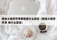 微信小程序开发教程用什么语言（微信小程序开发 用什么语言）