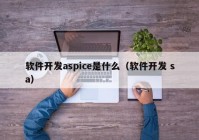 软件开发aspice是什么（软件开发 sa）