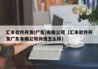 汇丰软件开发(广东)有限公司（汇丰软件开发广东有限公司待遇怎么样）