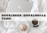 软件开发公司的名称（软件开发公司叫什么名字比较好）