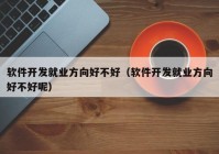 软件开发就业方向好不好（软件开发就业方向好不好呢）