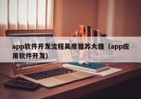 app软件开发流程吴彦祖苏大强（app应用软件开发）